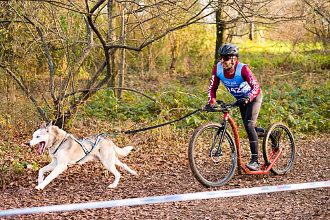 PARTE2 WSA Dryland World maserada 2025