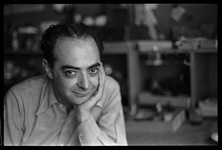 GlowMorStudio - brassai-1681052842-ts20260321183404459519.jpeg