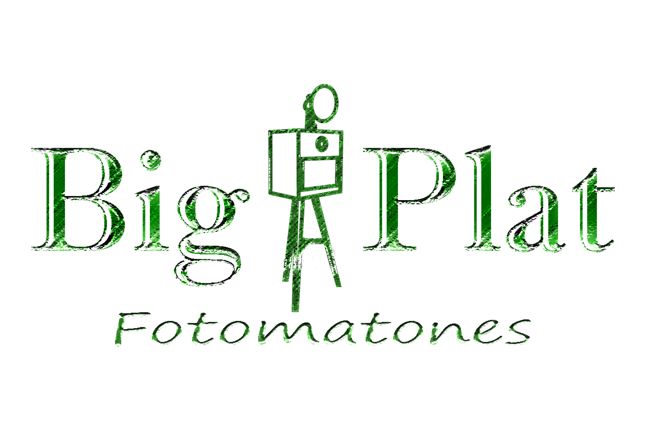 BigPlat Fotomatones - def-logo-bp-bisel-verde-pastel-ts20260116143350662122.png