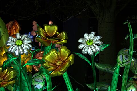 Fotografías artísticas de esculturas luminosas con forma de animales,plantas y insectos