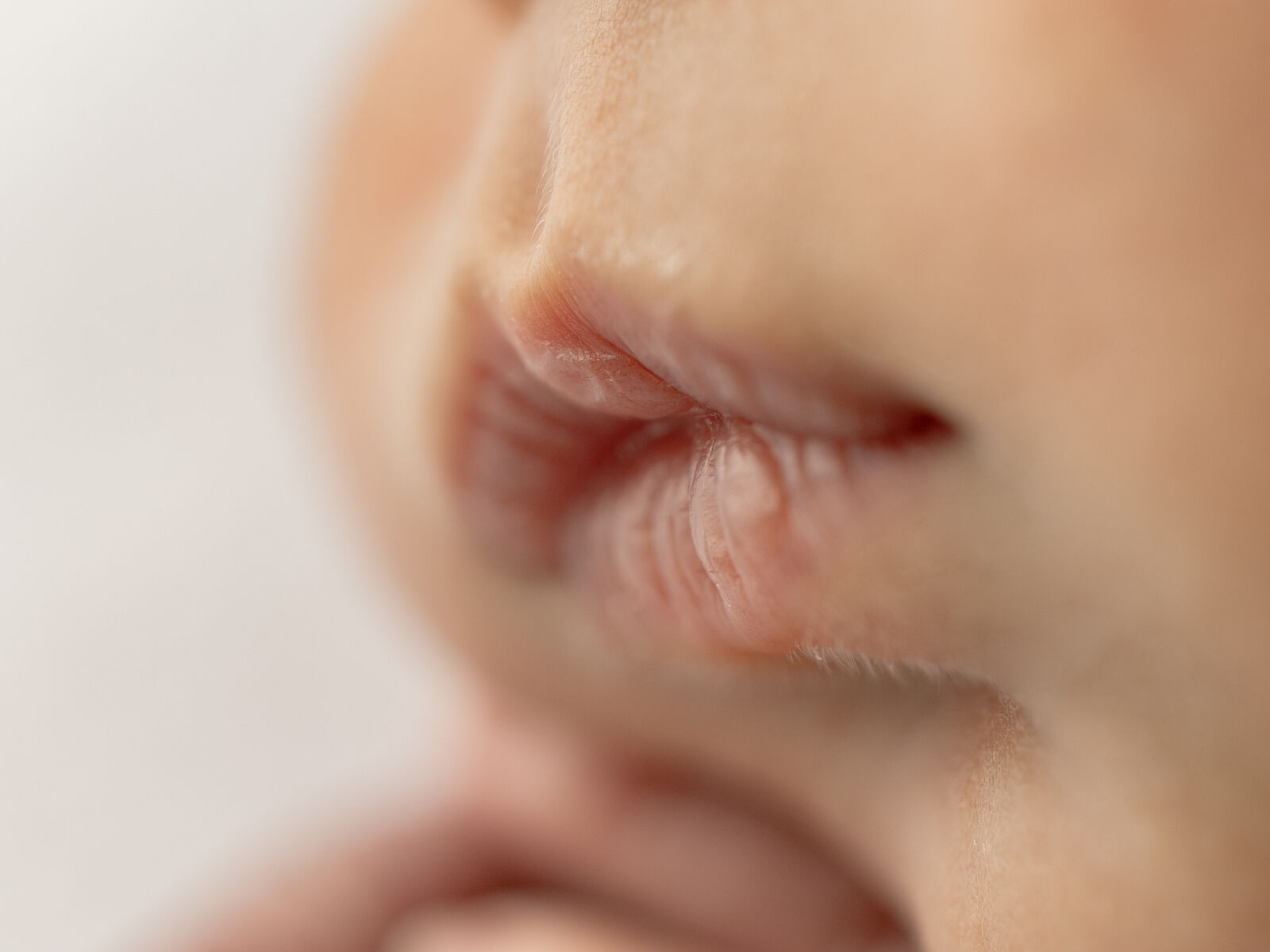 ESTUDIO FOTOGRAFIA PAULA MARTIN - pmf_1496-ts20260219104814982321.jpg