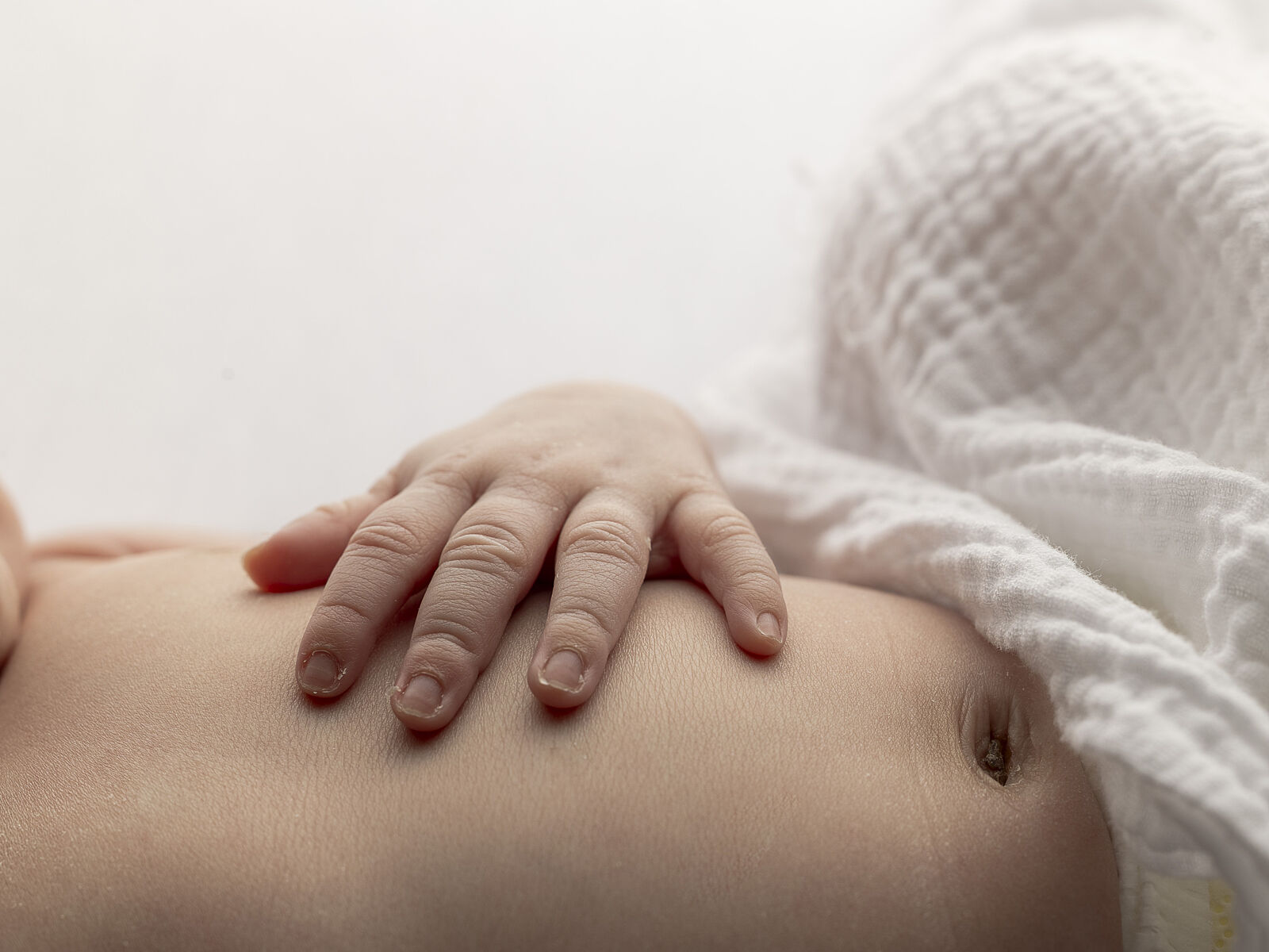 ESTUDIO FOTOGRAFIA PAULA MARTIN - pmf_8986-ts20260219104459831641.jpg