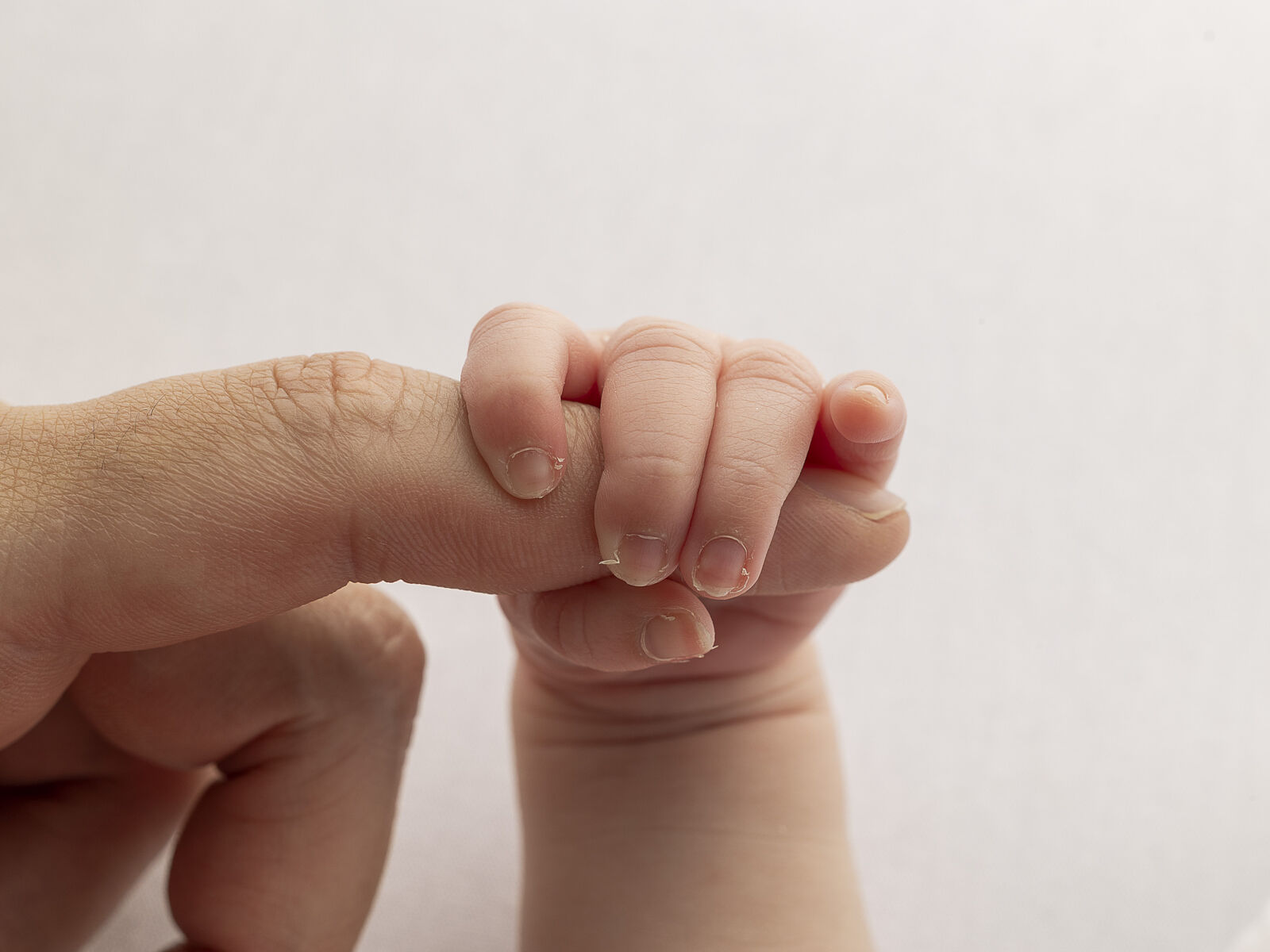 ESTUDIO FOTOGRAFIA PAULA MARTIN - pmf_9035-ts20260219104552341411.jpg