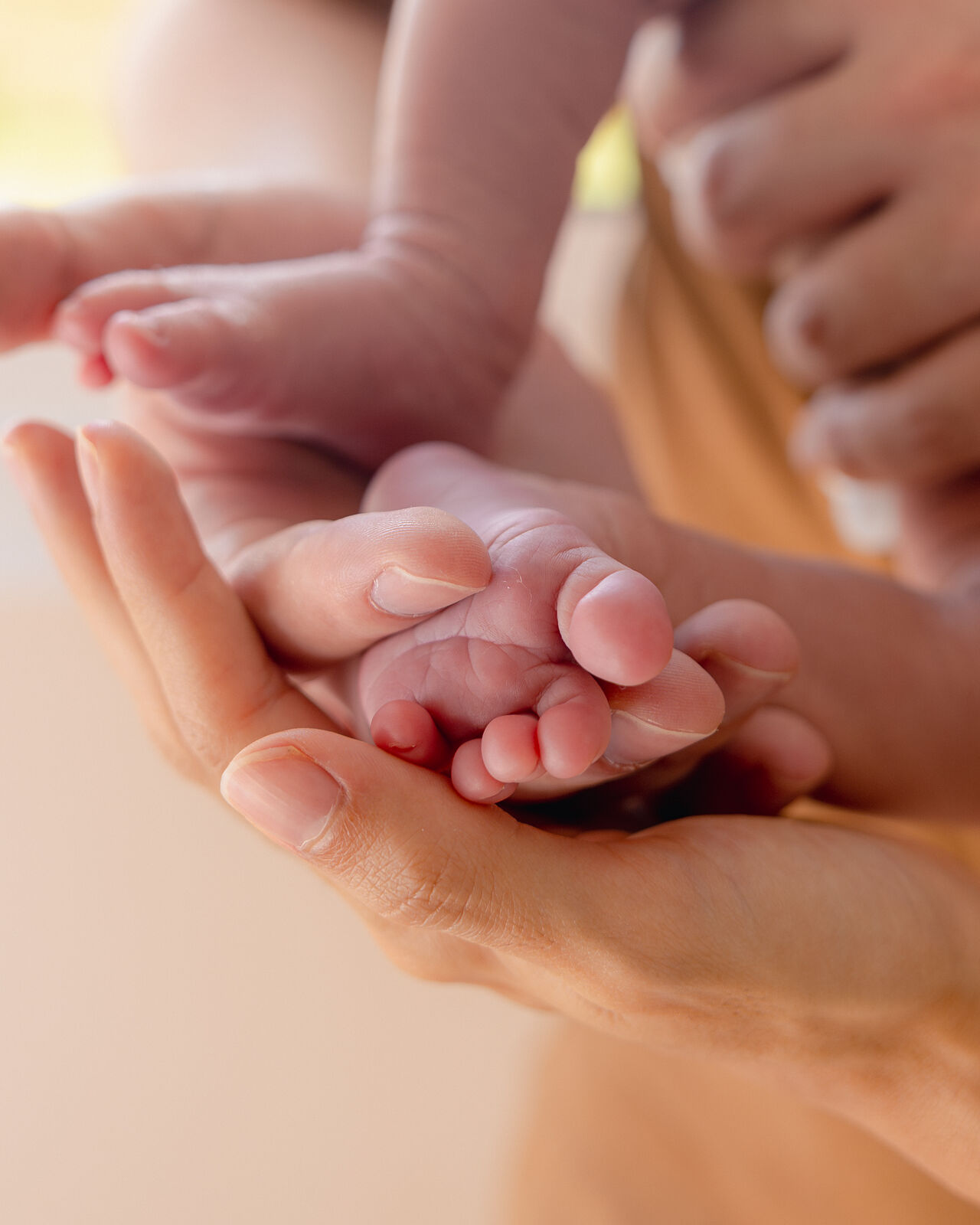 Miri González Fotografía - 2509202580-ts20260226210928855048.jpg