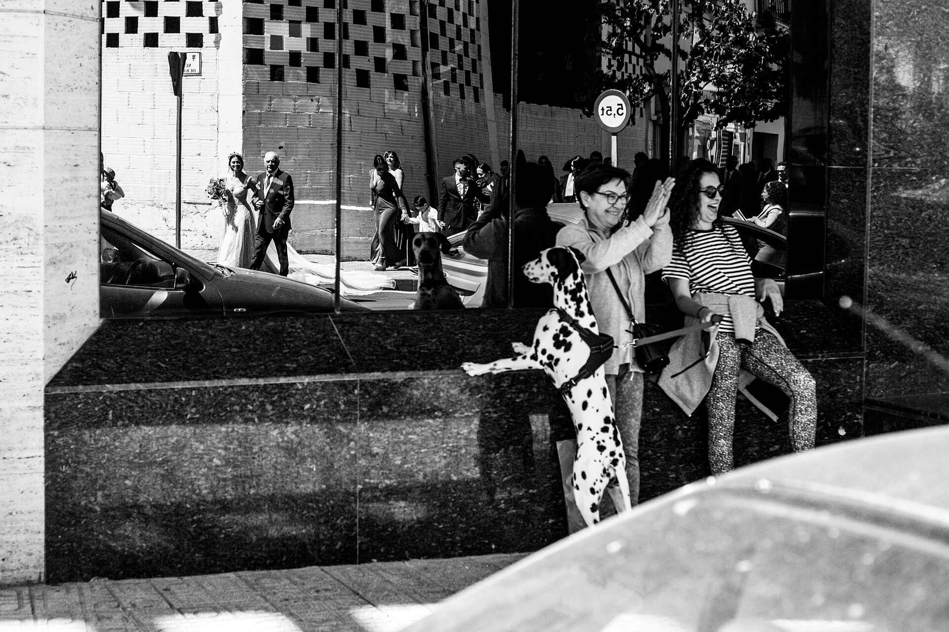 david-pili-bodegas-viñexa (23)