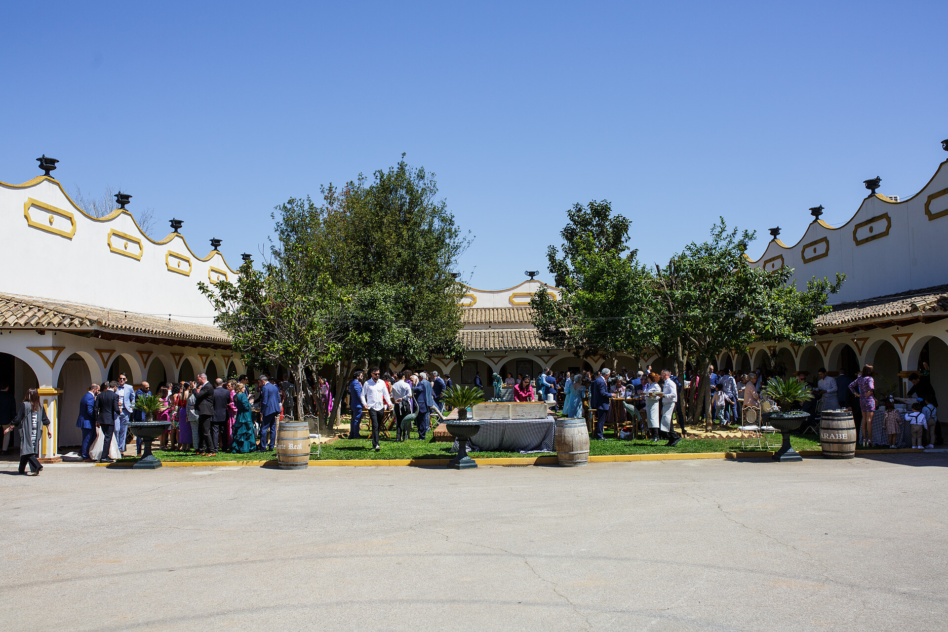 david-pili-bodegas-viñexa (41)