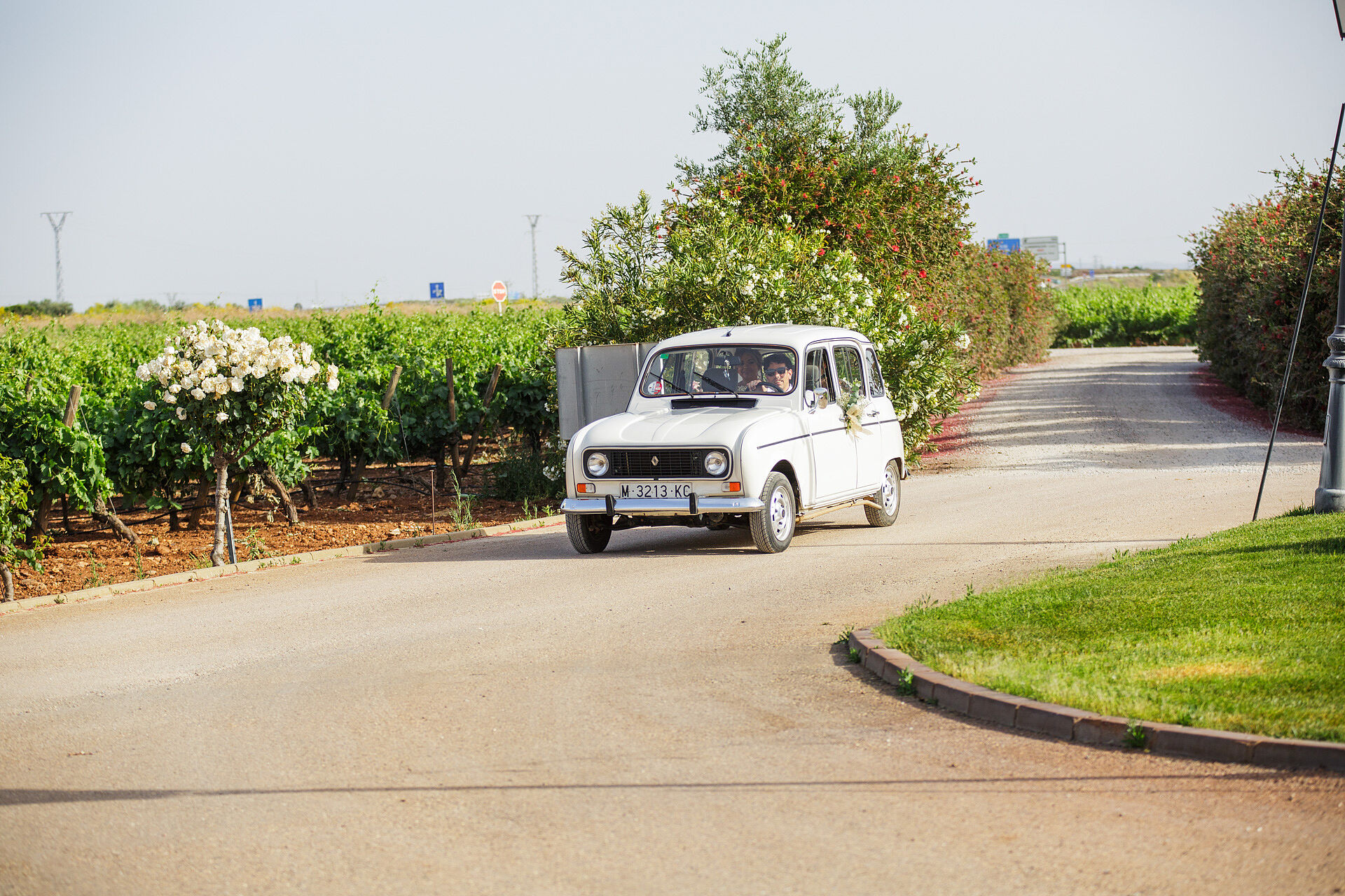 Nicolas y Antoinette (504)