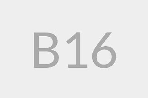 B16