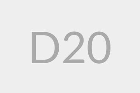 D20