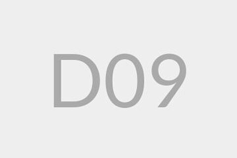 D09