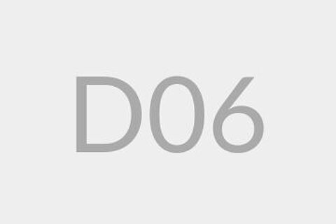 D06