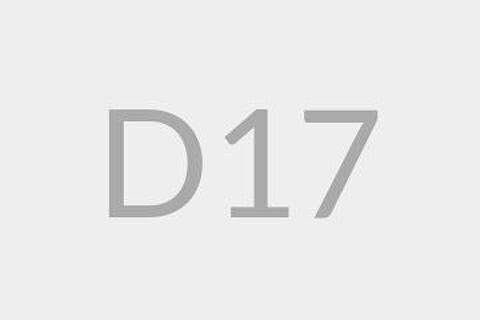 D17