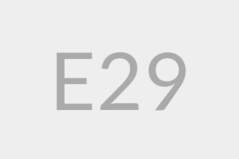 E29