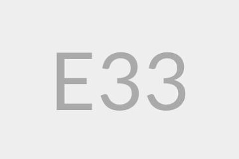E33