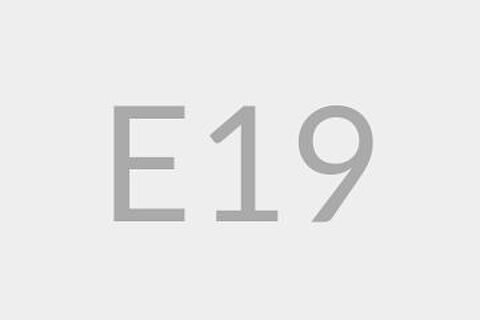 E19