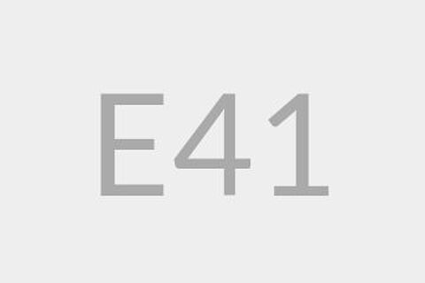 E41