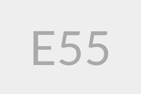 E55