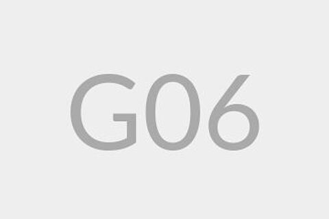 G06