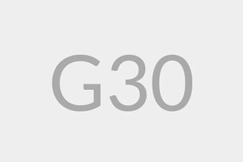 G30