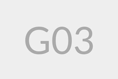 G03