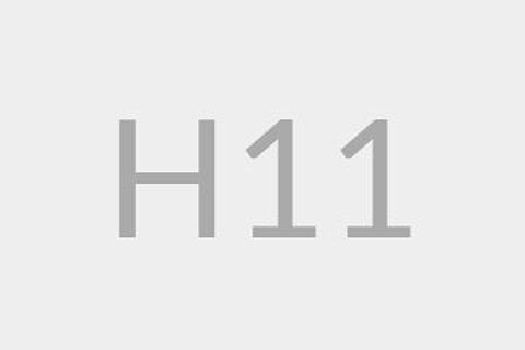 H11