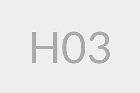 H03