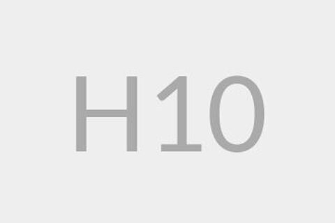 H10