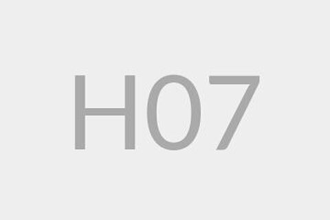 H07