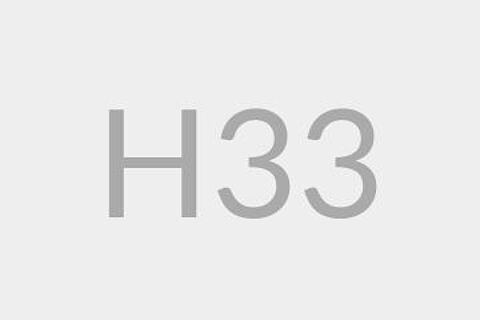 H33