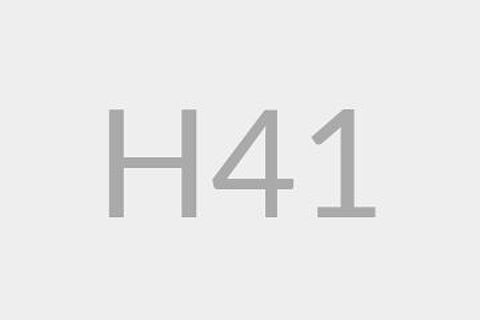H41