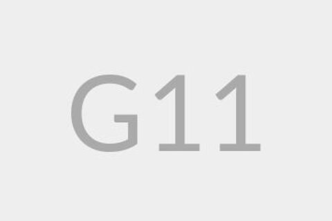 G11