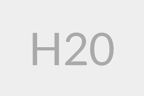 H20