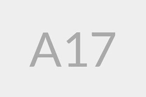 A17