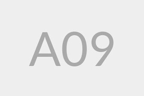 A09