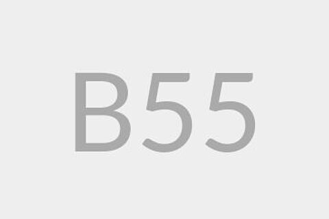B55