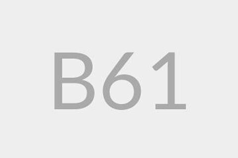 B61