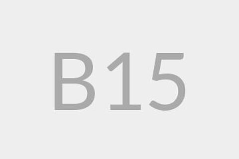B15