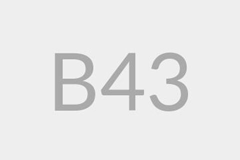 B43