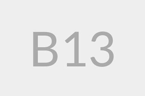 B13