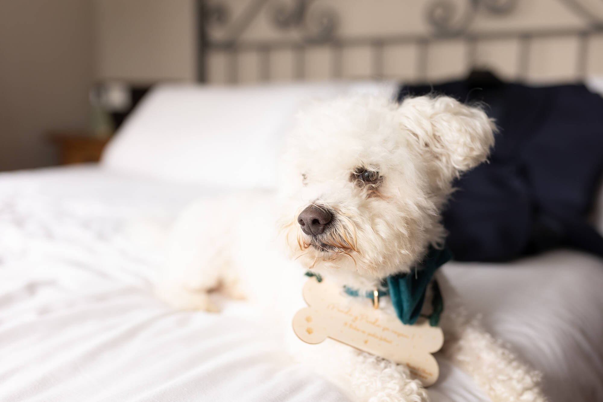 Reportaje_boda_marques_la_moral_caliq_020