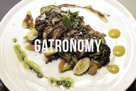gastronomía