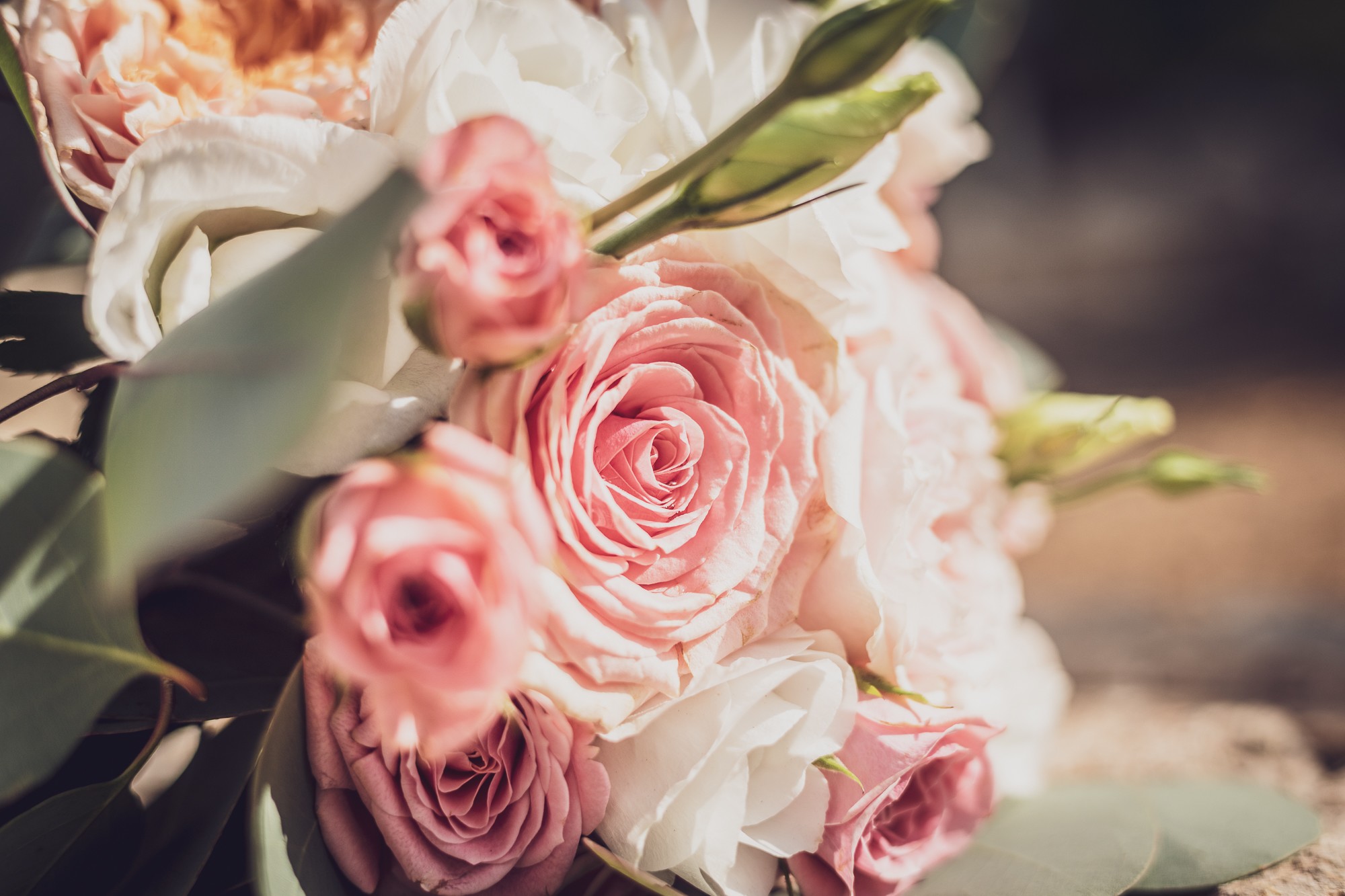 014-Boda Nora y Toni