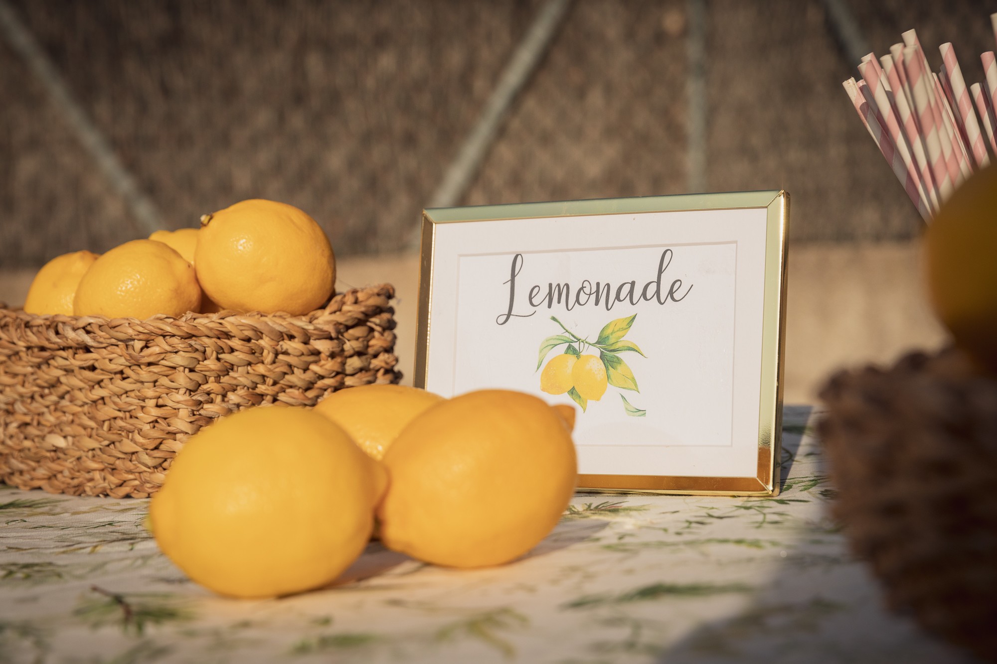 020-Boda Nora y Toni