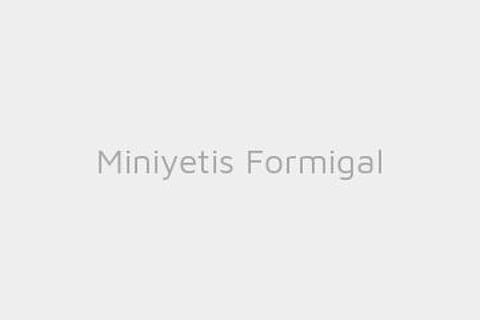 Miniyetis Formigal