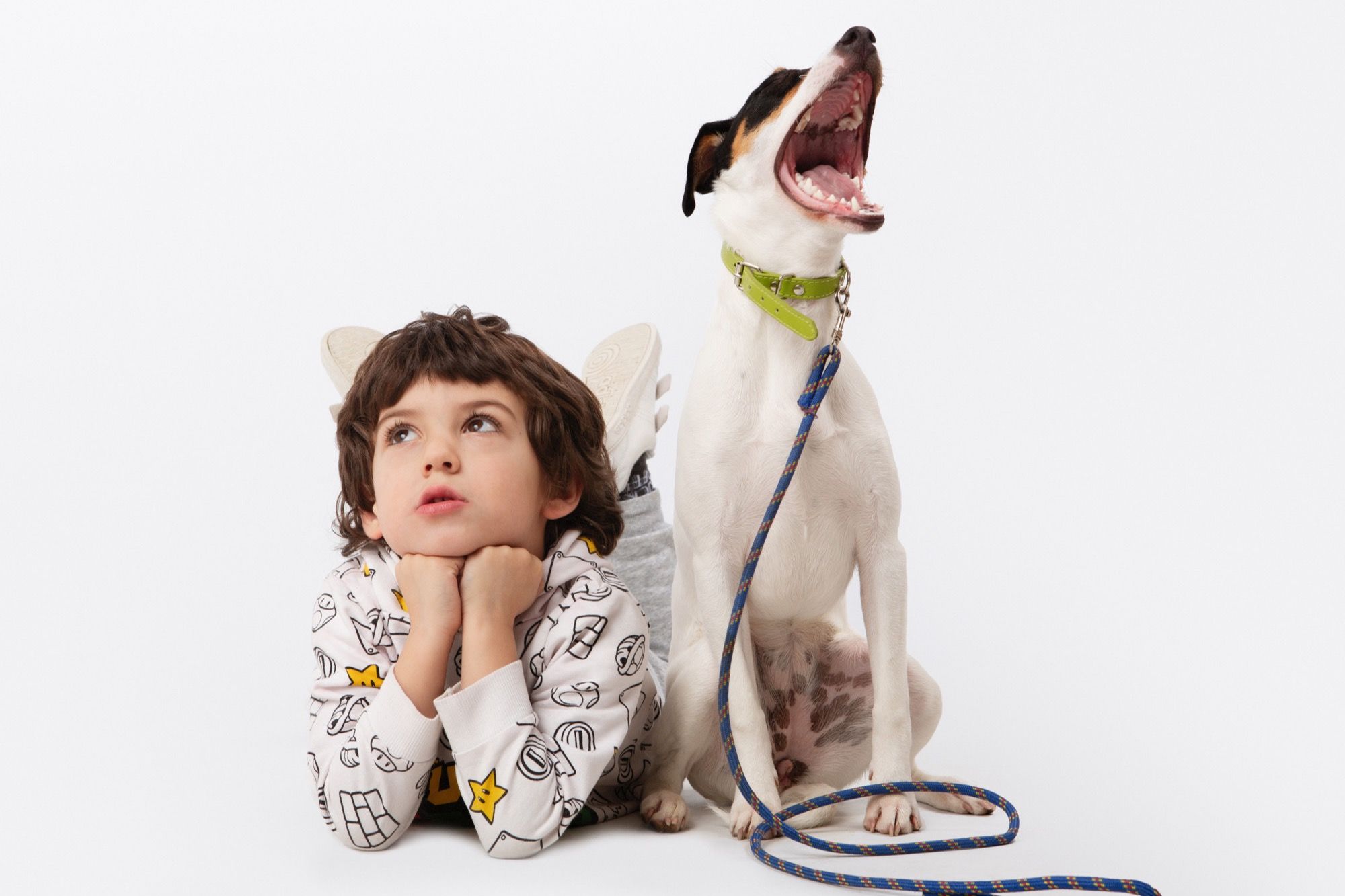 Foam Board and Canvas Printing Pet Photographer Kunst Photo & Art Berango, Getxo, Bilbao, Sopelana