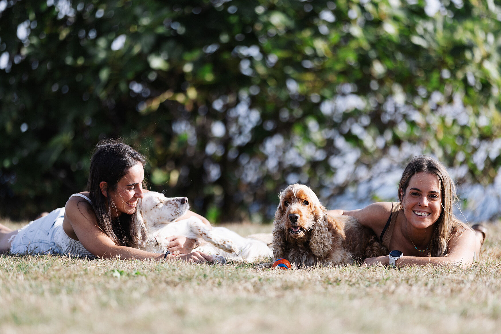 Reportaje con mascotas Bizkaia España, photoshoot with pets Spain-02