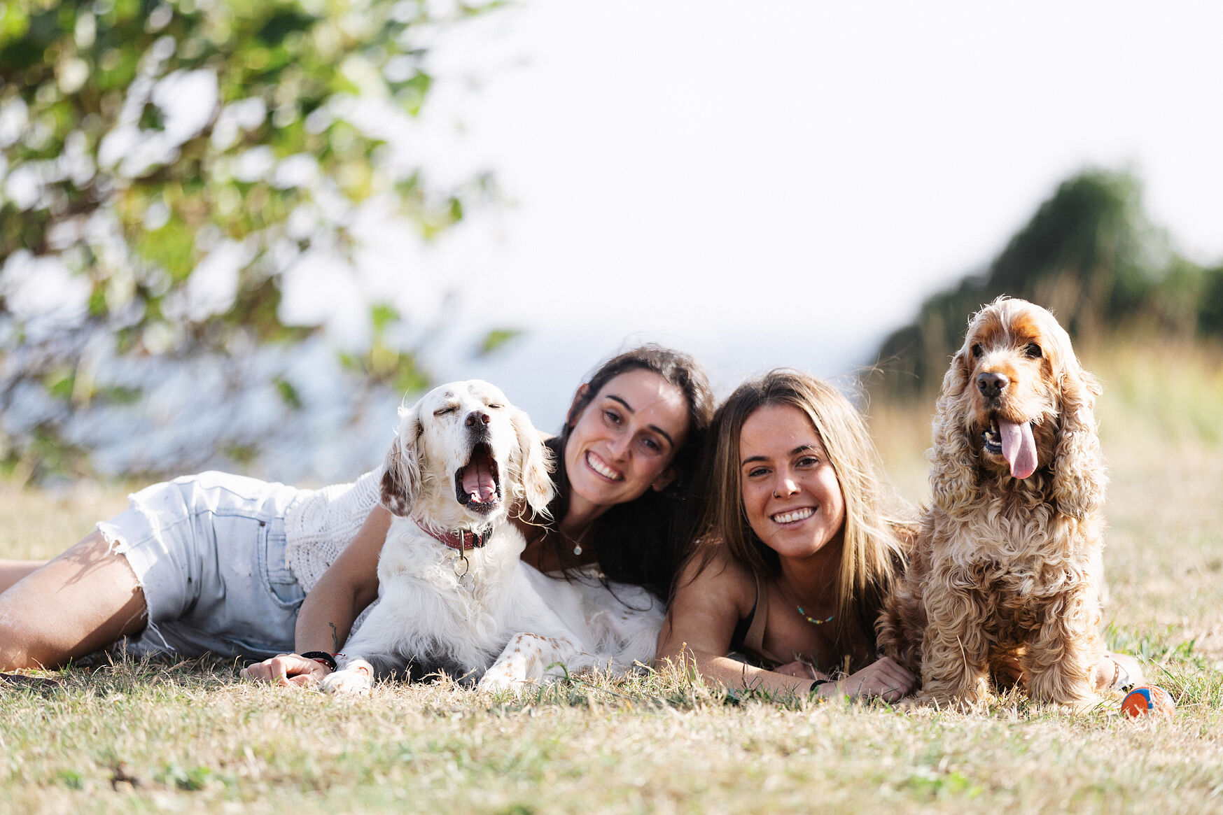 Photo session with pets, dogs. Basque Country, Spain.
