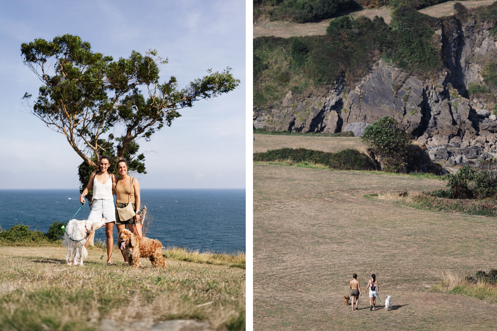 Perros y naturaleza: una sesión junto al mar en Castro Urdiales, Cantabria. 