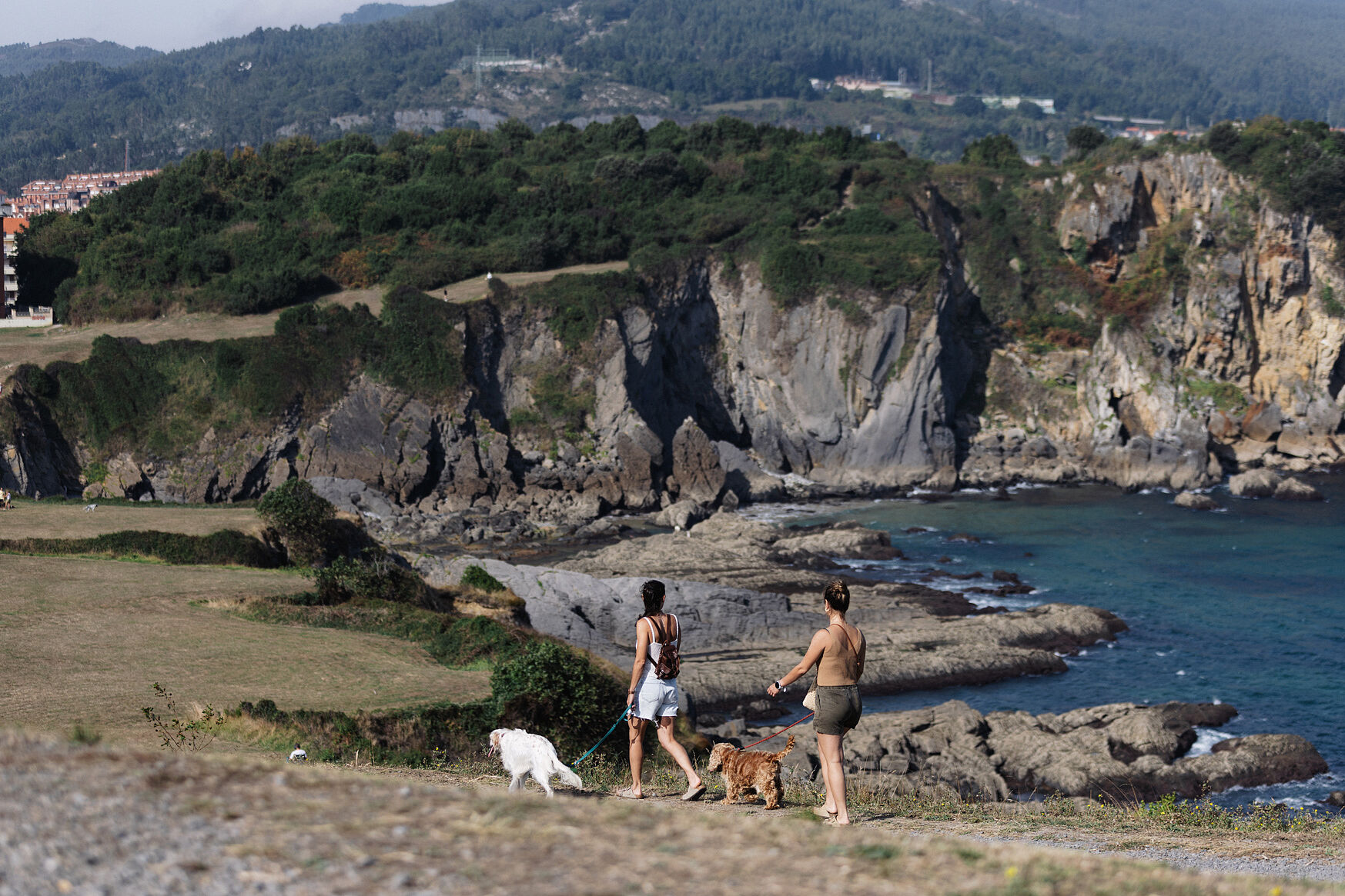 Reportaje con mascotas Bizkaia España, photoshoot with pets Spain-11