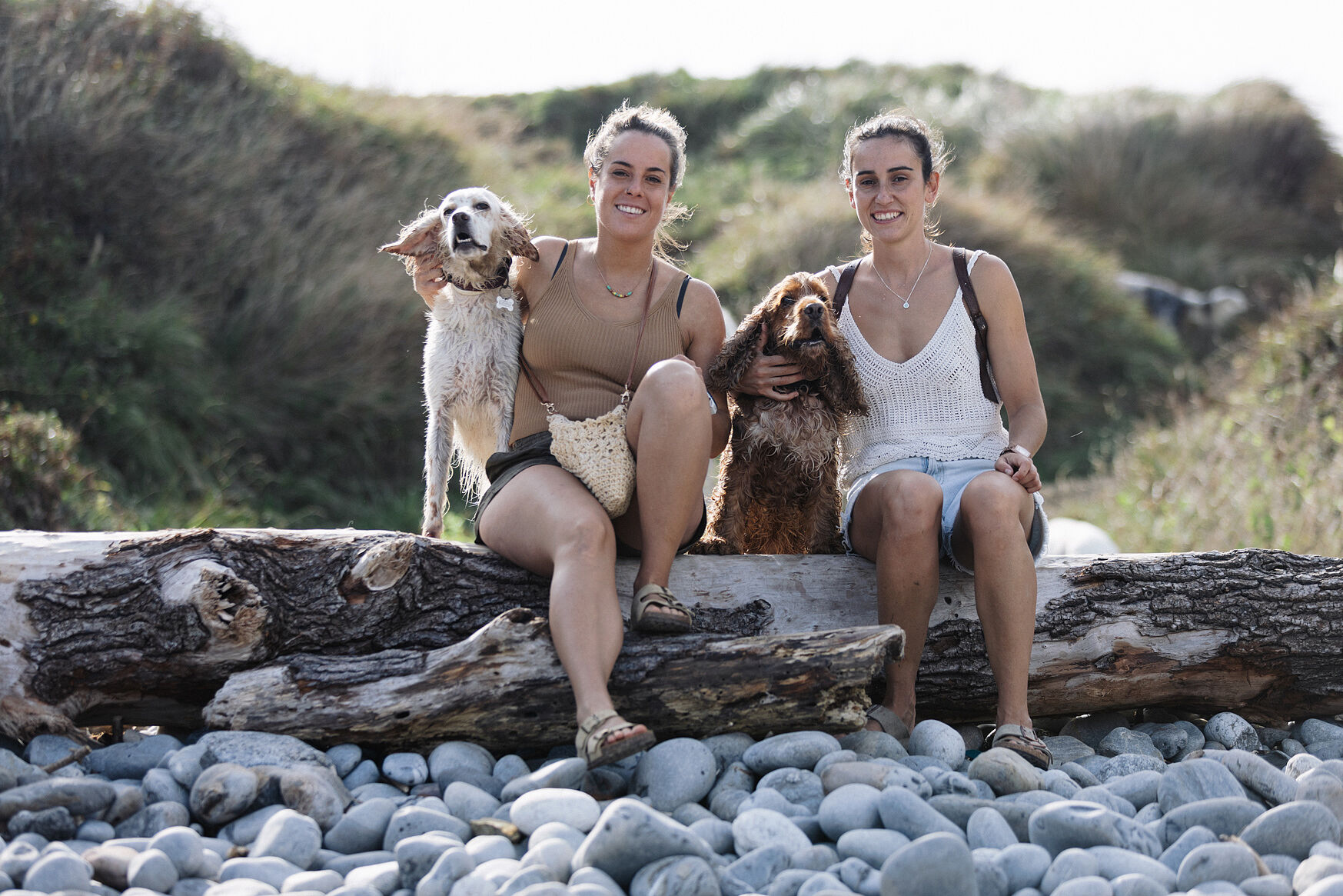 Naturaleza, amor y perros: sesión fotográfica en la costa, Castro Urdiales, Cantabria.